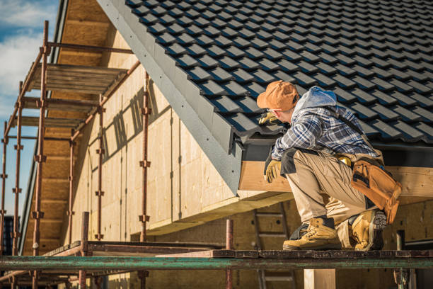 Best Metal Roofing Installation  in Dulce, NM